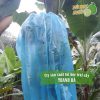 Túi bọc trái cây bằng nilon bao chuối thương hiệu Thanh Hà 70x140cm