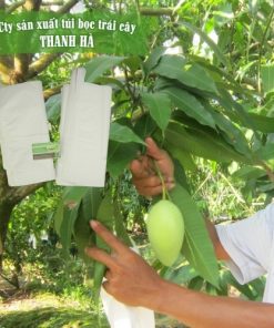 Bao trái cây Thanh Hà màu trắng chất lượng cao kích thước 20x30cm