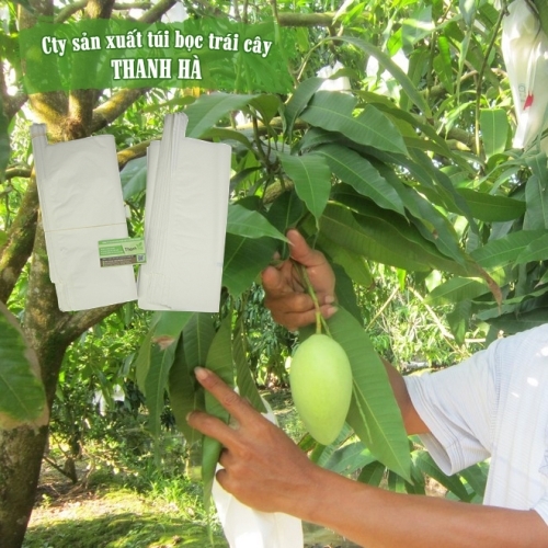 Bao trái cây Thanh Hà màu trắng chất lượng cao kích thước 20x30cm