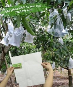 Túi bao trái cây Thanh Hà chất liệu giấy sáp trắng kích thước 20x30cm