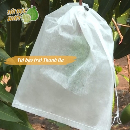 Túi bao trái cây Thanh Hà chất lượng cao kích thước 20x27cm