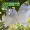 Túi bọc trái cây chống côn trùng Thanh Hà chuyên dụng 25x30cm
