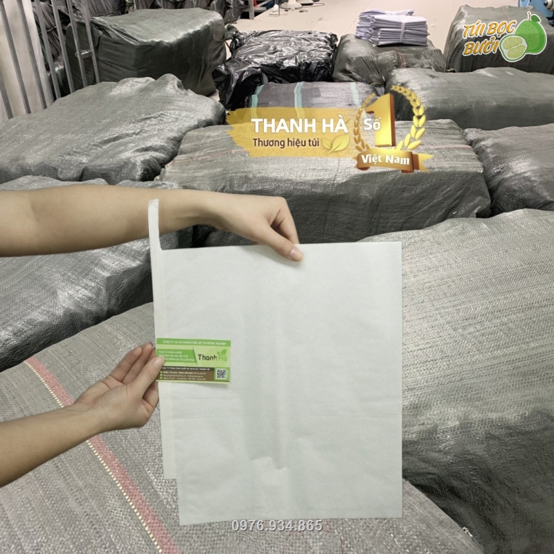 Công ty Thanh Hà luôn sẵn số lượng lớn túi bao trái giấy sáp trắng