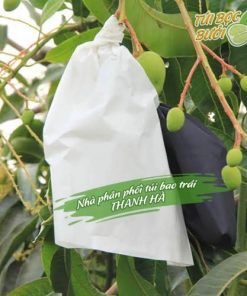 Túi bọc trái cây tránh côn trùng Thanh Hà siêu bền kích thước 20x30cm