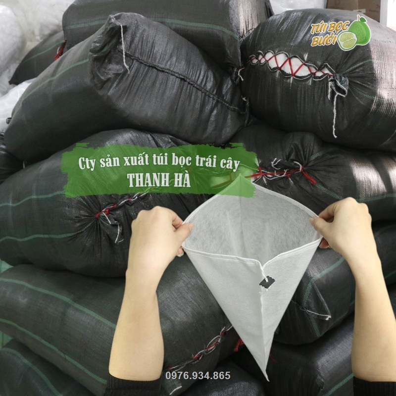 Cty Thanh Hà có sẵn số lượng lớn túi bao trái để cung ứng ra thị trường