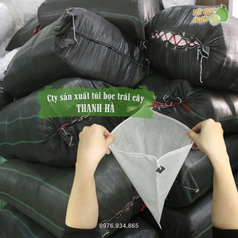 Công ty Thanh Hà là nhà ssarn xuất và phân phối số lượng lớn túi bao trái