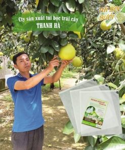 Túi vải bọc trái cây Thanh Hà, túi bọc trái bưởi kích thước 25x30cm 